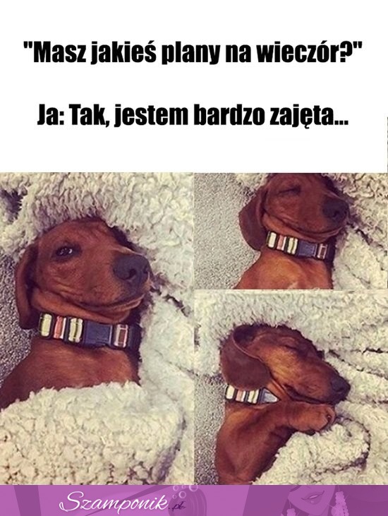 Jak widać ;P