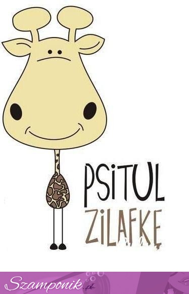 Psitul żyrafkę