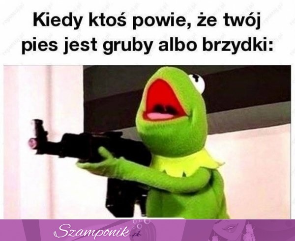 Co powiedziałeś?