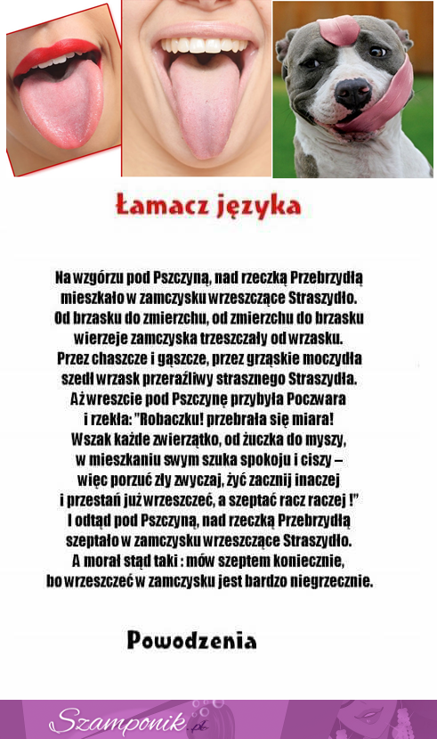 Łamacz języka. POWODZENIA!