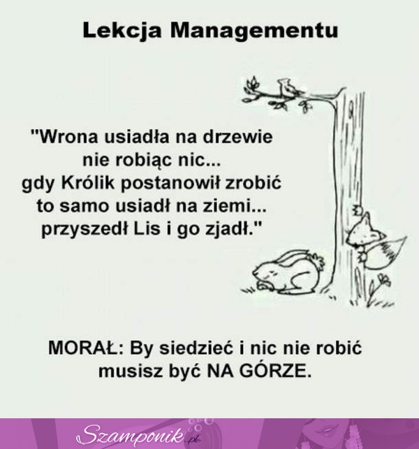 By siedzieć i nic nie robić...