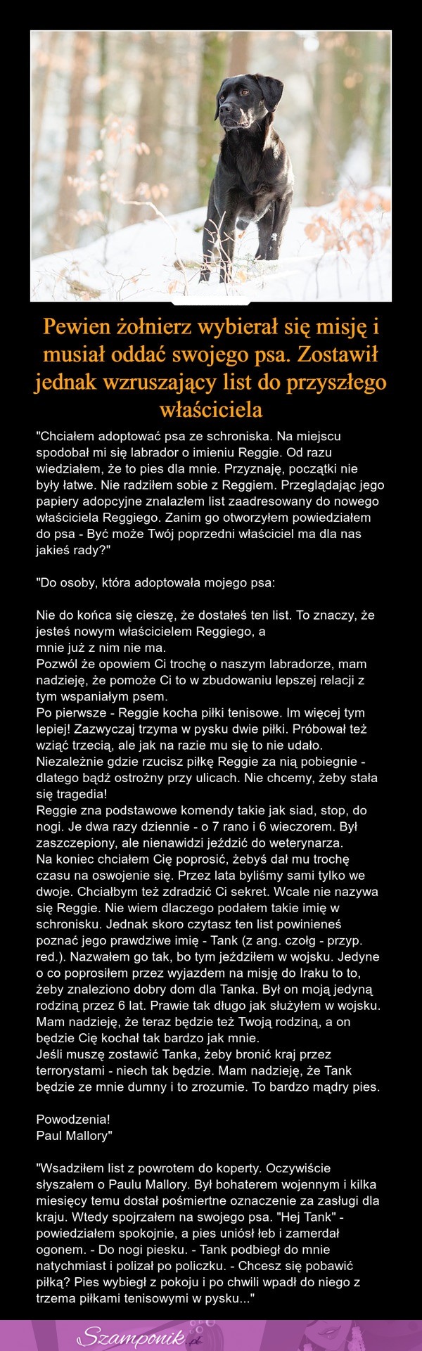 Pewien żołnierz wybierał się na misję i musiał ODDAĆ swojego psa. Do przyszłego właściciela zostawił ten oto WZRUSZAJĄCY list...