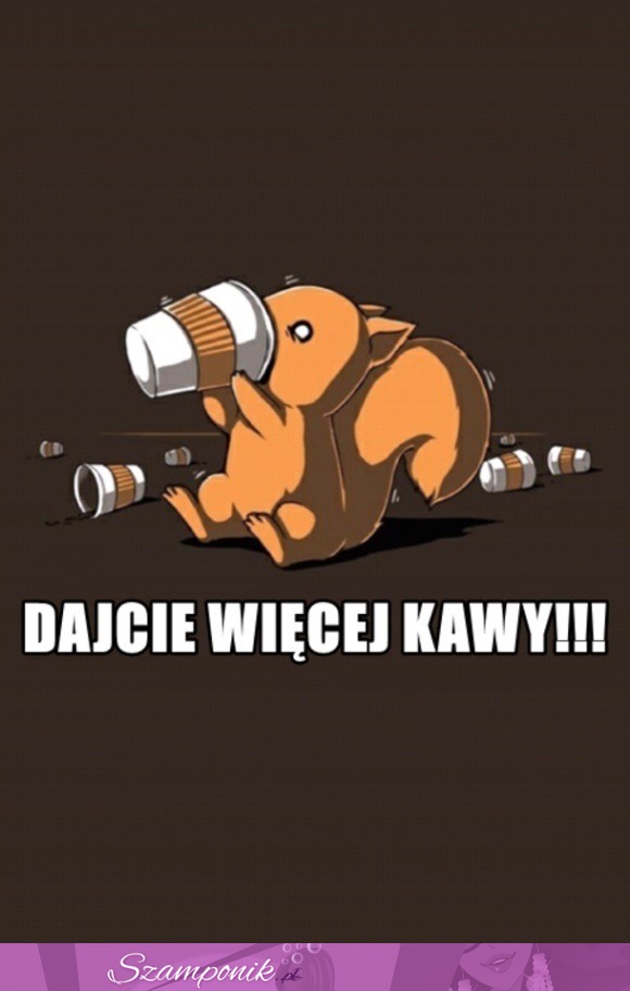 Więcej kawy