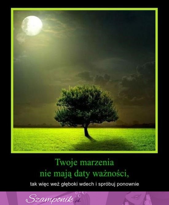 Twoje marzenia nie mają...