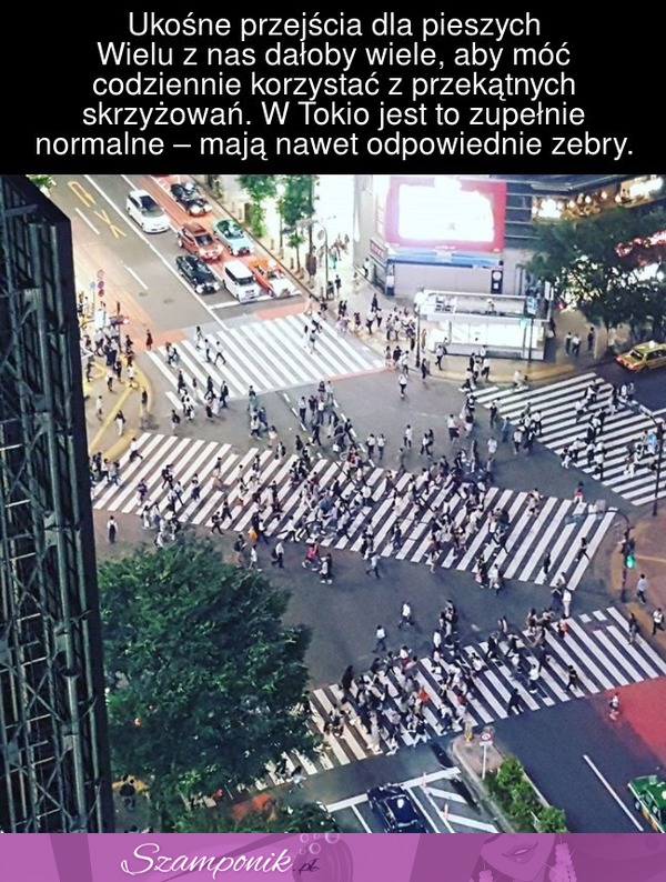 Tak wyglądają przejścia dla pieszych w Japonii. W Polsce by też się przydały takie?