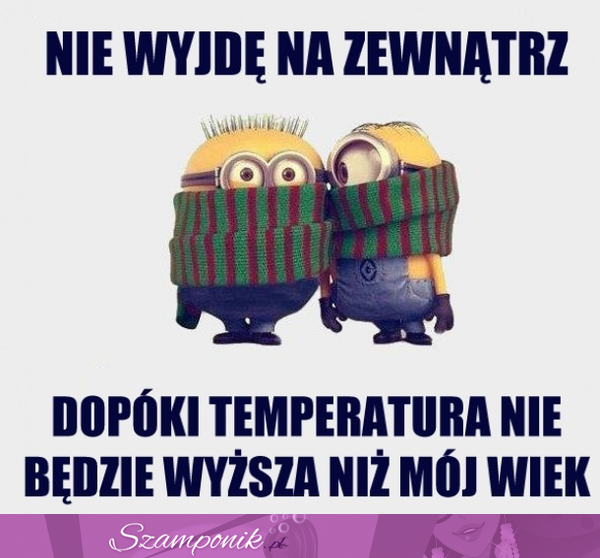 Zostaje w domu