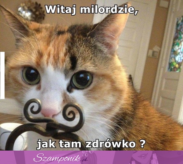 Jak tam zdrówko?