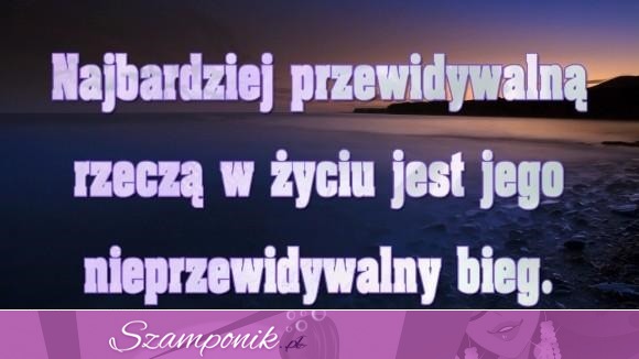 Najbardziej przewidywalną