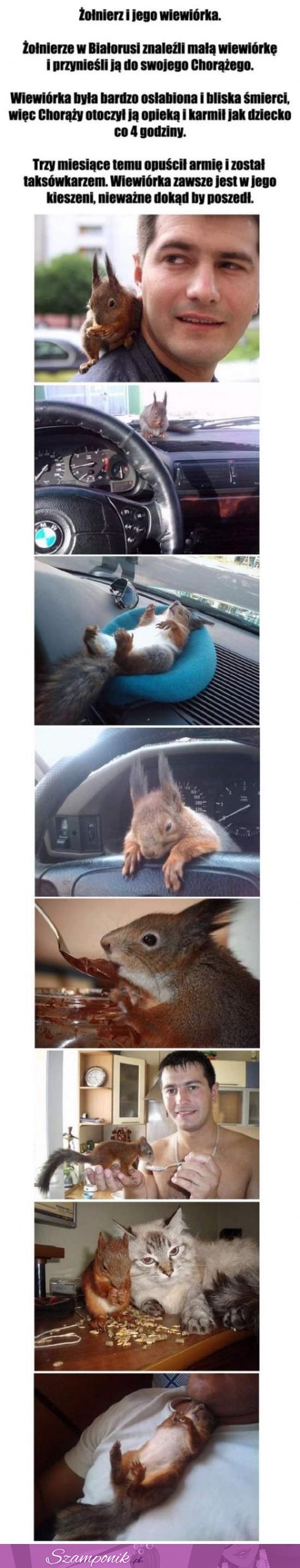 Żołnierze w Białorusi znaleźli małą wiewiórkę. Chorąży otoczył ją opieką. Teraz są nierozłączni!