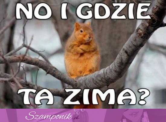 Gdzie ta zima