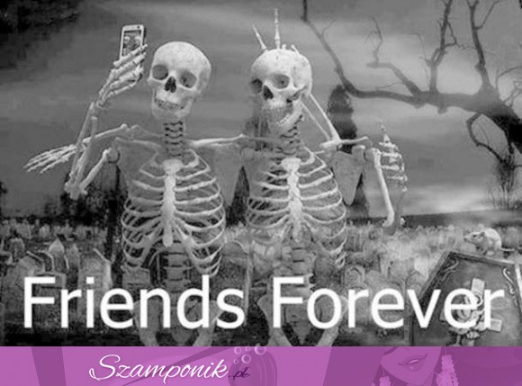 Przyjaciele na zawsze