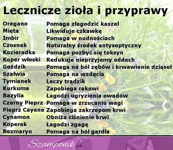 Lecznicze zioła i przyprawy. Wspaniałe właściwości!