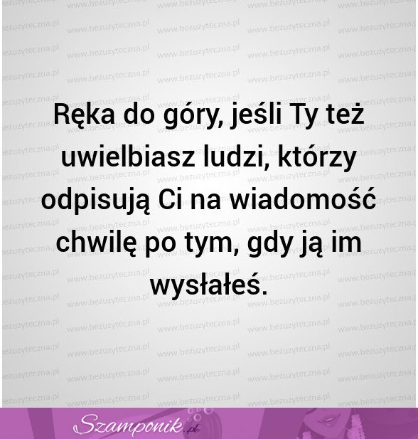 Łapka w górę!