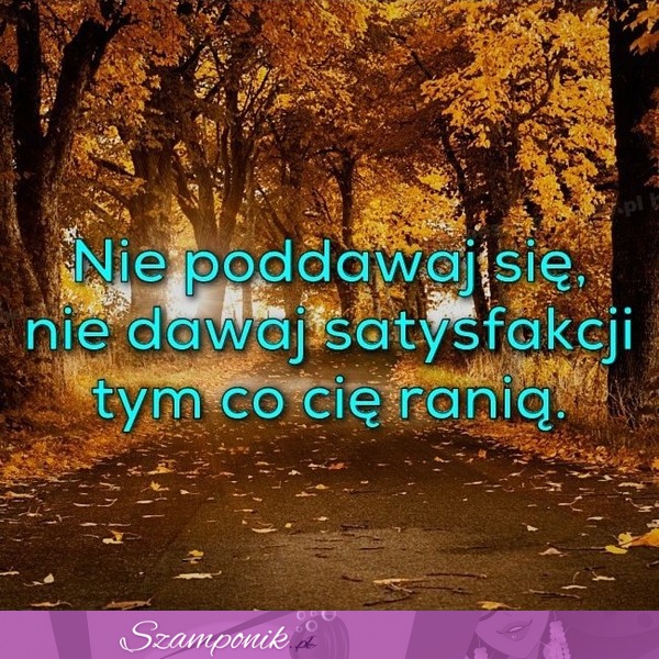 Nie poddawaj się