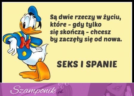 Są dwie rzeczy w życiu...