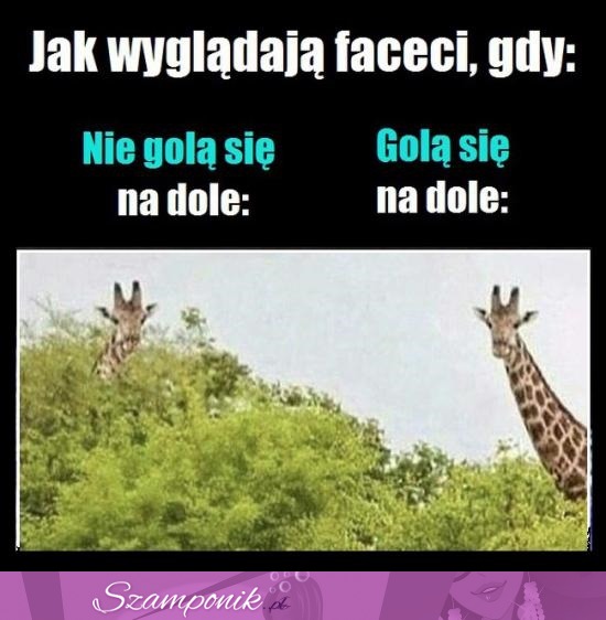 Jak wyglądają faceci