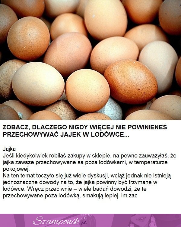 Zobacz dlaczego nigdy więcej nie powinieneś przechowywać jajek w lodówce