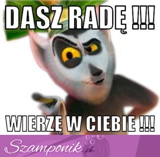 Dasz radę!!