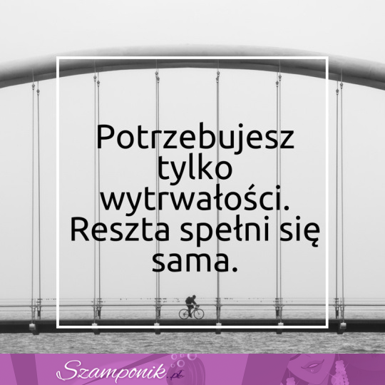 Potrzebujesz tylko wytrwałości