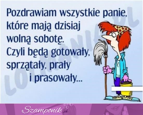 Pozdrawiam wszystkie panie