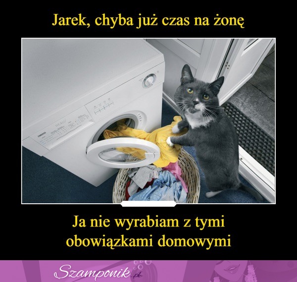 Czas na żonę ;D