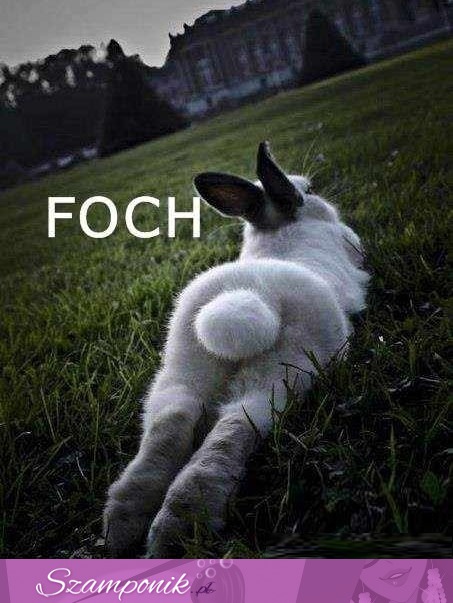 Foch