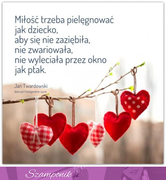 Miłość trzeba pielęgnować