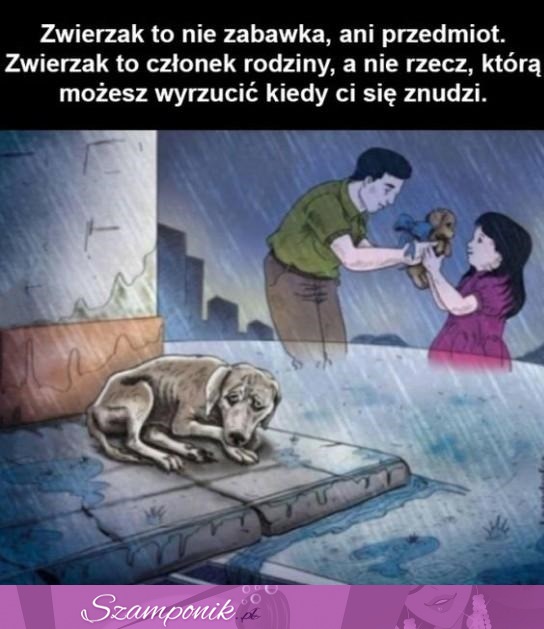 Zwierzę to nie zabawka!