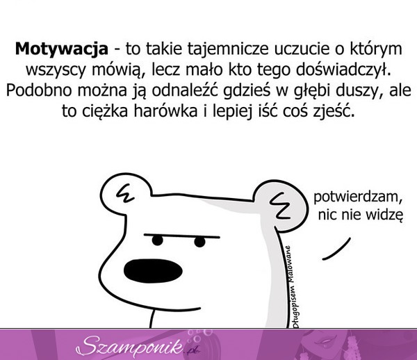 Motywacja