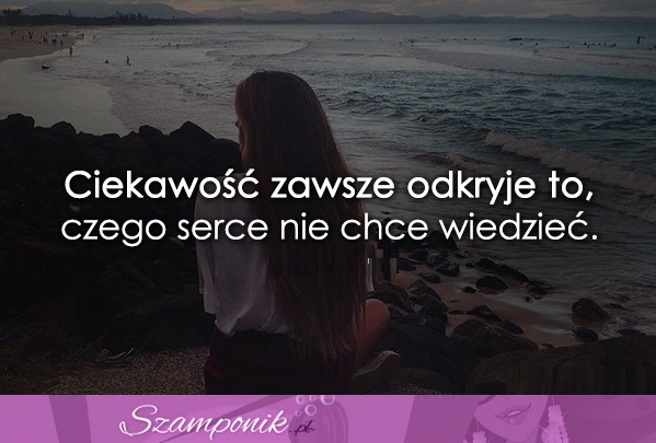 Ciekawość zawsze odkryje