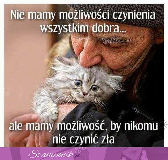 To możemy dokonać