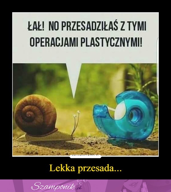 Lekka przesada