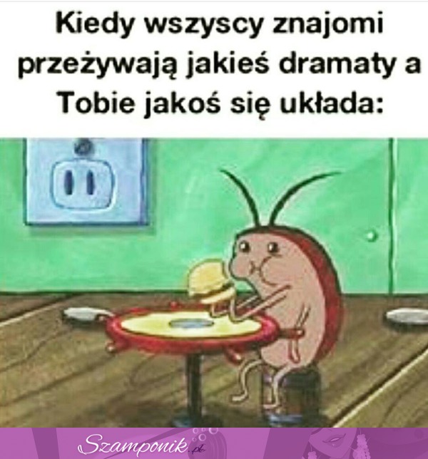 Nie wiem co oni czują...