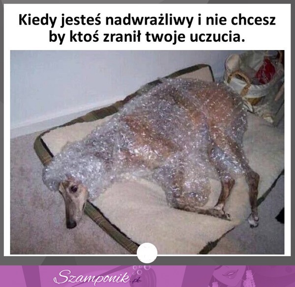 Kiedy jesteś nadwrażliwy...