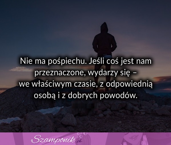 Nie ma pośpiechu.