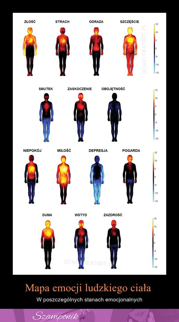 Mapa EMOCJI LUDZKIEGO CIAŁA!  Zobacz jak to wygląda gdy czujesz MIŁOŚĆ, ZŁOŚĆ itd...