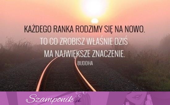 Rodzimy się na nowo!