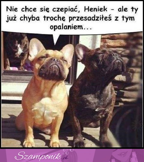 Chyba przesadził