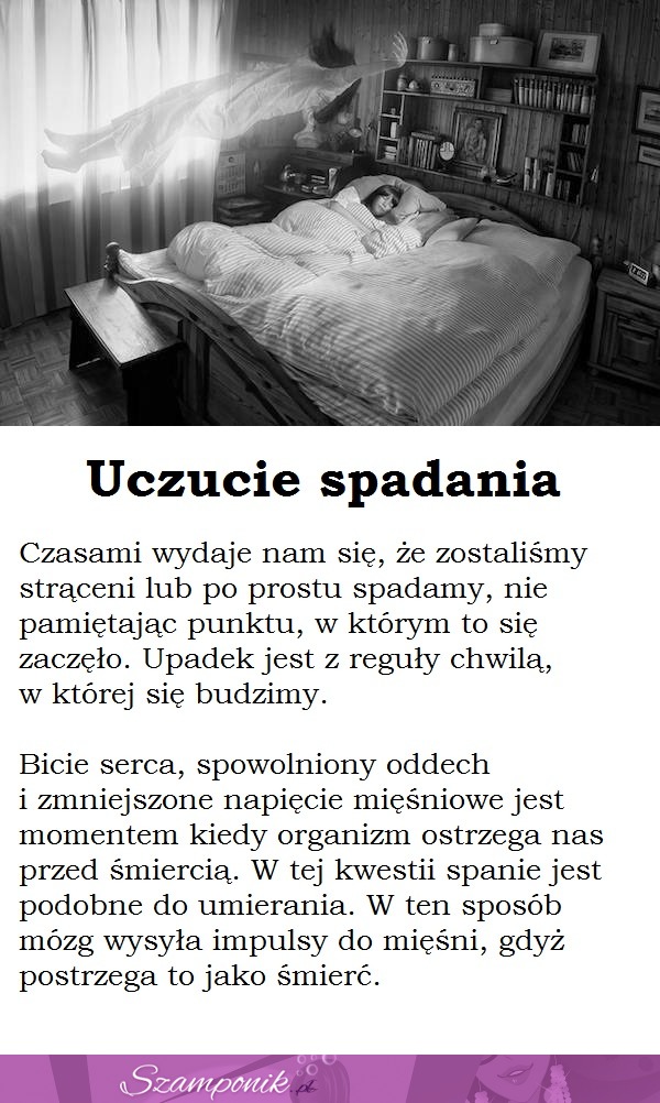 Dlaczego mamy uczucie spadania we śnie?