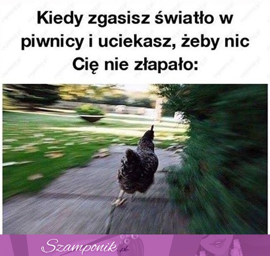 Kiedy zgasisz światło