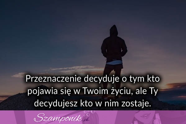 Przeznaczenie decyduje o tym kto...