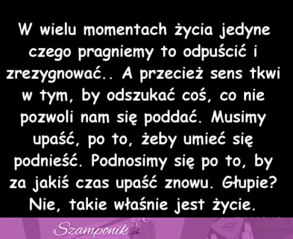 Takie właśnie jest życie.