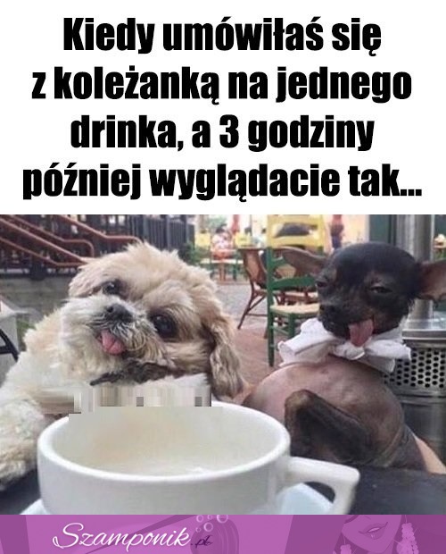 Tak to się kończy