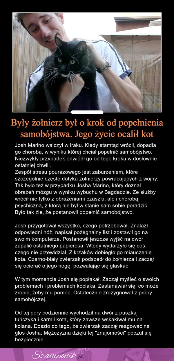 Były żołnierz był o krok od popełnienia samobójstwa. Jego życie ocalił kot!