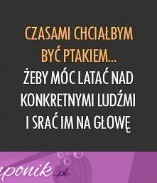 Przydałoby się