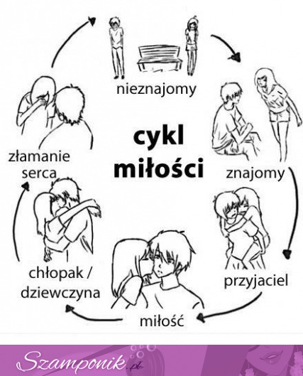 Zobacz cykl miłości... a Ty na jakim etapie jesteś? ;)