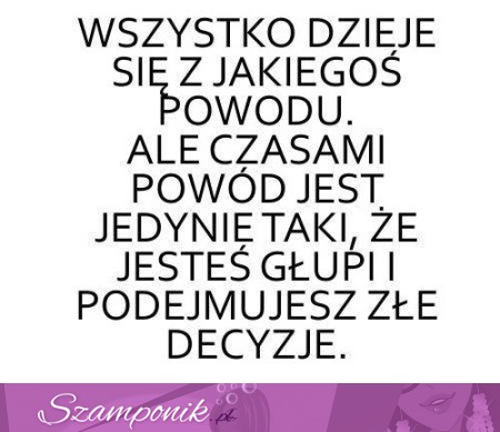 Wszystko dzieje się