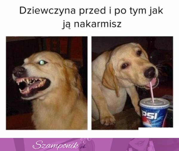 Tak to wygląda