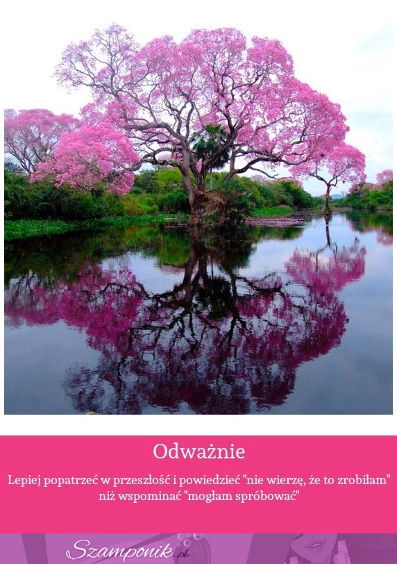 Odważnie