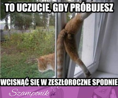 Zeszłoroczne spodnie